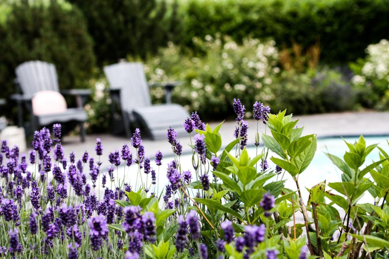 קאנה A Bascule Bed And Breakfast Maastricht מראה חיצוני תמונה
