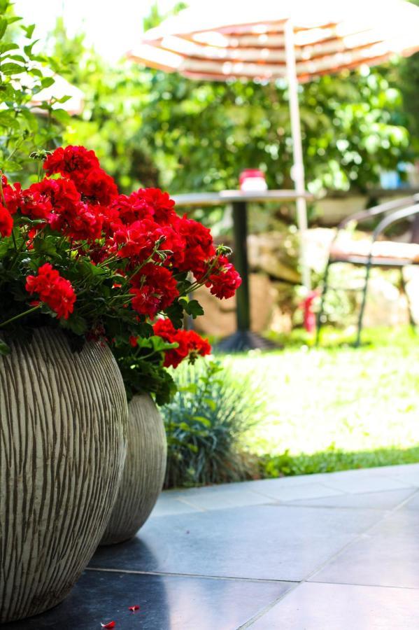 קאנה A Bascule Bed And Breakfast Maastricht מראה חיצוני תמונה